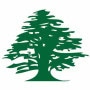 Logo Diwan Beirut