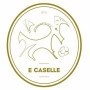 Logo E Caselle