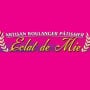 Logo Éclat de mie