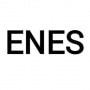 Logo Enes