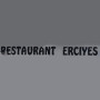 Logo Erciyes