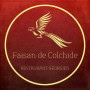 Logo Faisan de Colchide