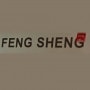 Feng Sheng Paris 3