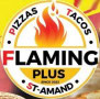 Logo Flaming plus