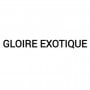 Logo Gloire Exotique