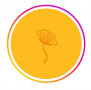 Logo Golden Poppy