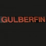Logo Gülberfin