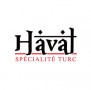 Logo Haval