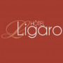 Logo Hôtel Ligaro