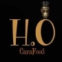 Logo Hungry Owl