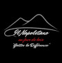Logo Il Napoletano