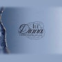 Logo Ile de diana