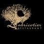 Logo L'Abricotier