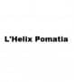 L'helix pomatia Dijon