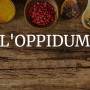 L'Oppidum Sisteron