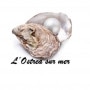 Logo L ostrea sur mer