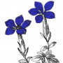 Logo La Gentiane