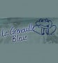 La grenouille bleue Paris 15