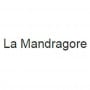 La Mandragore Terrasson-Lavilledieu