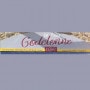 Logo La Pause Godelonne