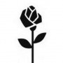 Logo La Rosa Negra