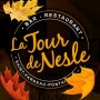 Logo La Tour de Nesle