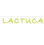 Logo Lactuca