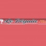 Logo Le Béguin