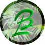 Logo Le Bergerac