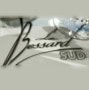 Logo Le Bessard Sud