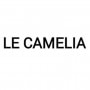 Le Camélia Auriac sur Dropt