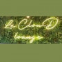 Logo Le Cloud