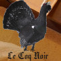 Logo Le Coq Noir