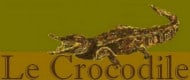 Le Crocodile Pace