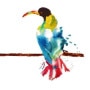 Logo Le Crusoé