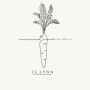Logo Le Lynn