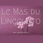 Le Mas du Lingousto Cuers