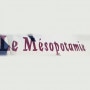 Logo Le Mésopotamie