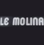 Logo Le Molina