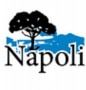 Logo Le Napoli au Feu de Bois