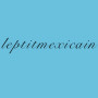 Logo Le p'tit mexicain