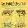 Le Petit Journal Dunkerque