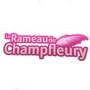 Le Rameau De Champfleury Le Marin