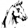 Logo Le Repère