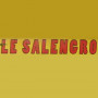 Logo Le Salengro