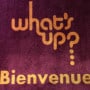 Le What's Up ? Saint Etienne