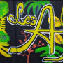 Logo Les Ajoncs