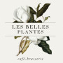 Logo Les Belles Plantes