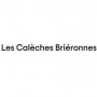 Logo Les Calèches Briéronnes
