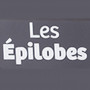 Logo Les Épilobes